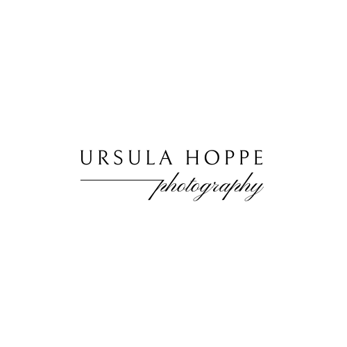 Logo Transparent BG